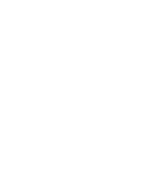 Renault Logo